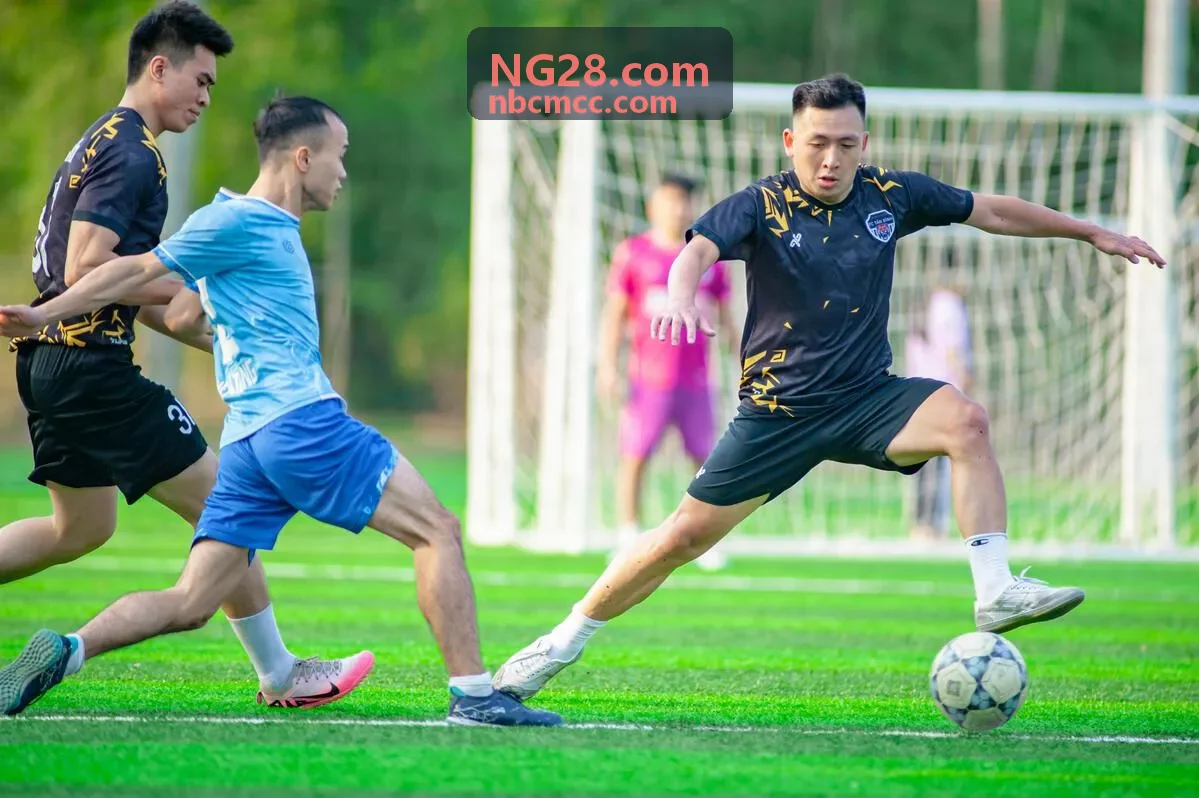 NG28客户
